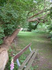 bouvigne_170x227_020.jpg