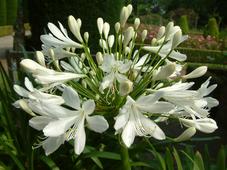 bouvigne_227x170_003.jpg
