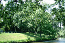 breda_225x150_027.jpg