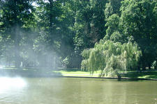 breda_225x150_033.jpg