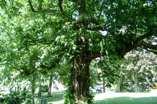 breda_225x150_034.jpg
