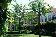 breda_225x150_063.jpg