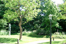 breda_225x150_065.jpg