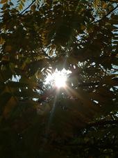 breda_170x227_030.jpg