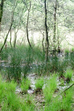 buisse_150x225_005.jpg