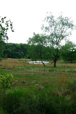 buisse_150x225_033.jpg