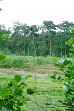 buisse_150x225_039.jpg