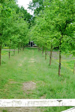 buisse_150x225_049.jpg