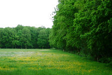 buisse_225x150_001.jpg