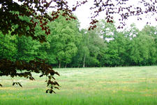 buisse_225x150_002.jpg