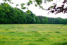 buisse_225x150_004.jpg
