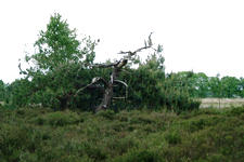 buisse_225x150_007.jpg