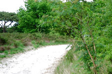 buisse_225x150_011.jpg
