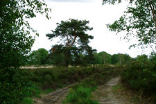 buisse_225x150_012.jpg