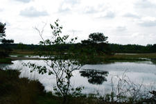 buisse_225x150_014.jpg