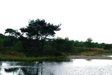 buisse_225x150_015.jpg
