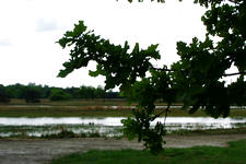buisse_225x150_017.jpg