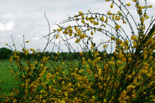 buisse_225x150_019.jpg