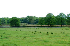 buisse_225x150_021.jpg