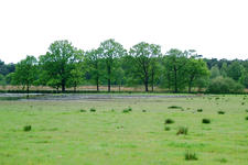 buisse_225x150_022.jpg