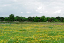 buisse_225x150_024.jpg