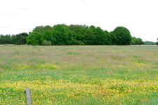 buisse_225x150_025.jpg