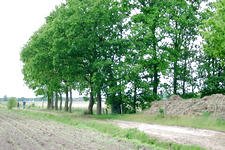 buisse_225x150_031.jpg