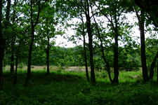 buisse_225x150_032.jpg