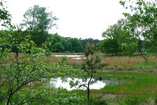 buisse_225x150_034.jpg