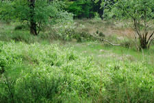 buisse_225x150_035.jpg