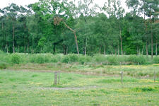buisse_225x150_038.jpg