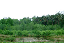 buisse_225x150_040.jpg