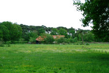 buisse_225x150_041.jpg