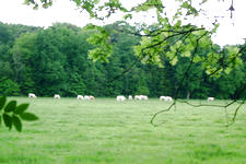 buisse_225x150_043.jpg