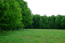 buisse_225x150_048.jpg
