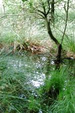 buisse_150x225_003.jpg