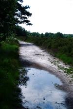 buisse_150x225_008.jpg