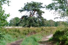 buisse_225x150_010.jpg