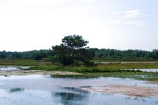 buisse_225x150_012.jpg
