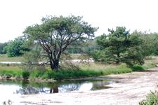 buisse_225x150_013.jpg