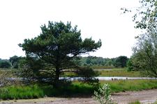 buisse_225x150_015.jpg