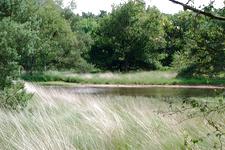 buisse_225x150_016.jpg