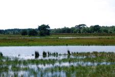 buisse_225x150_018.jpg