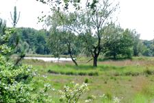 buisse_225x150_030.jpg