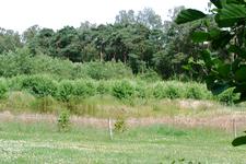 buisse_225x150_036.jpg