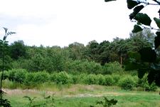 buisse_225x150_037.jpg