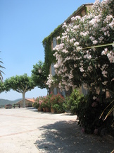 vakantie_162x216_005.jpg