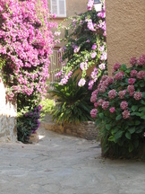 vakantie_162x216_201.jpg