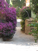vakantie_162x216_202.jpg