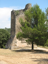 vakantie_162x216_244.jpg